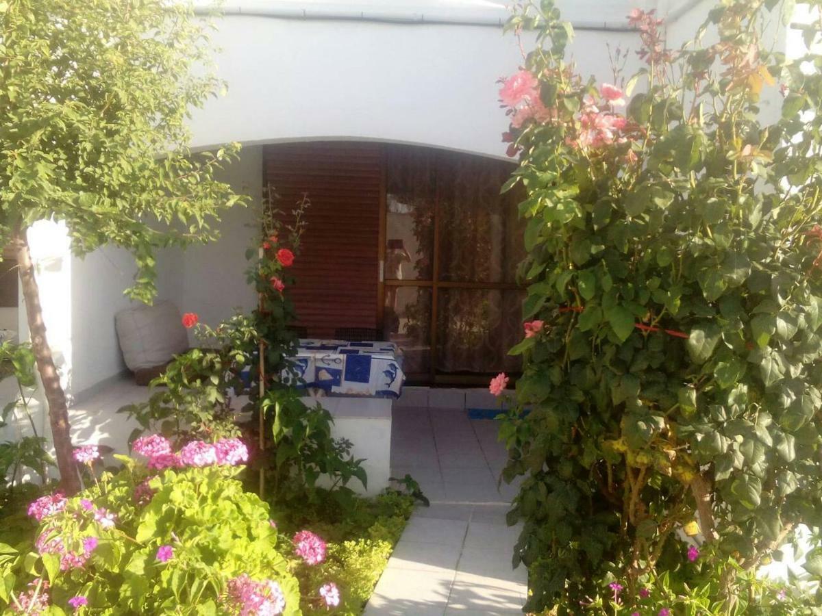 Villas Irene 5 Family Apartments Kokkini Hani Zewnętrze zdjęcie